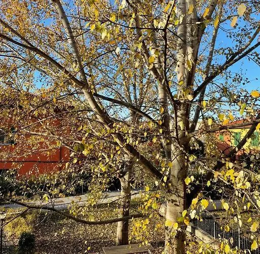 Tra Il Centro E La Campagna Bolognese