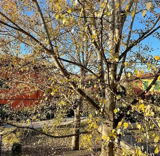 Tra Il Centro E La Campagna Bolognese 公寓 博洛尼亚